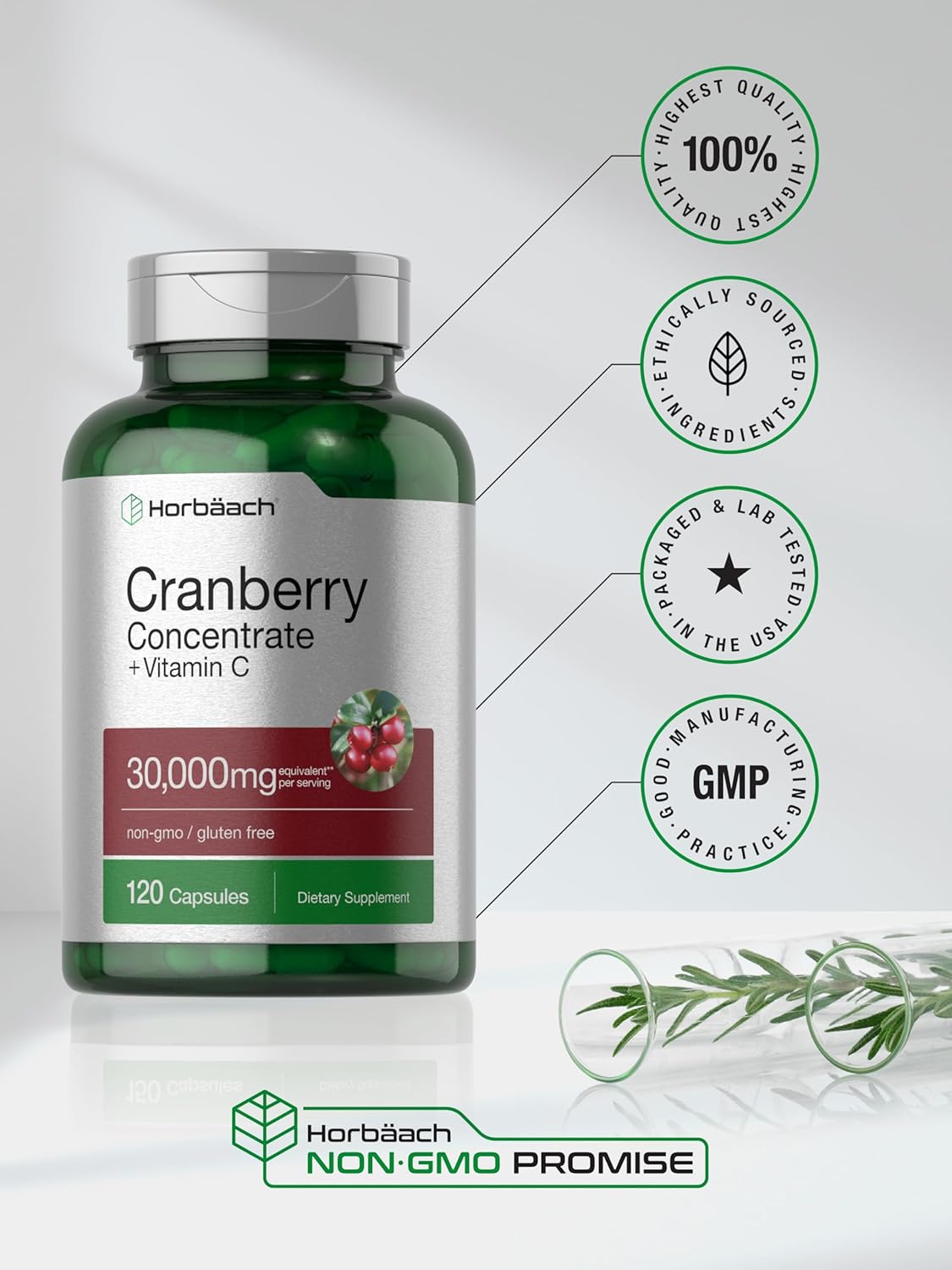 Cranberry - Horbäach