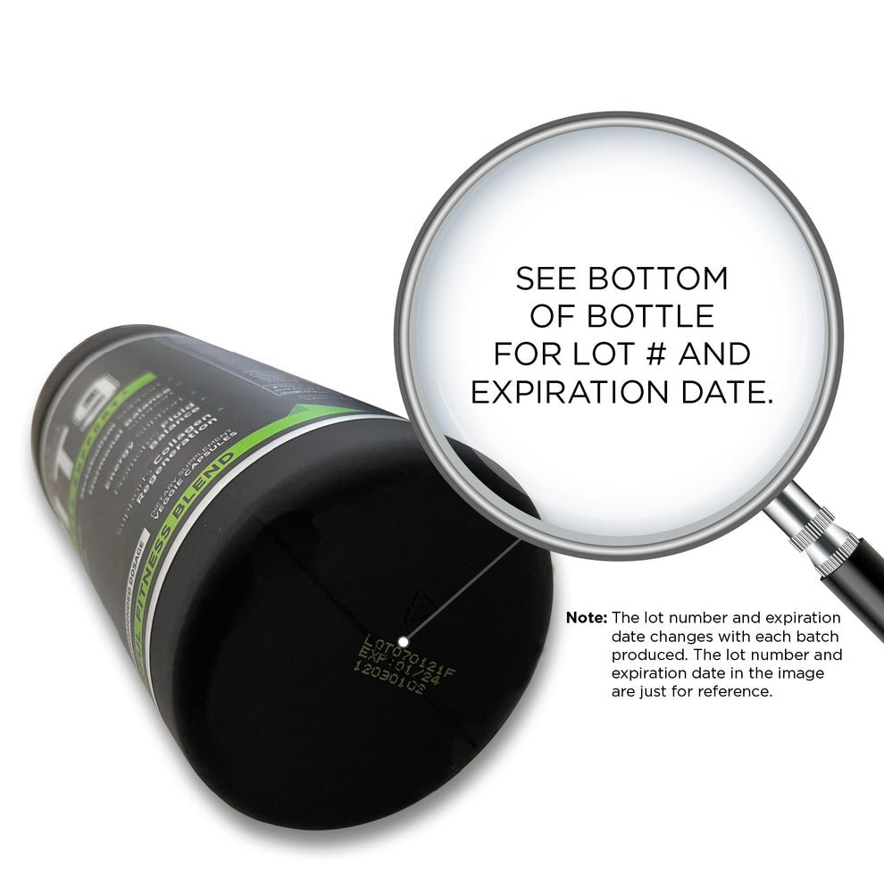 FIT 9 - Sascha Fitness