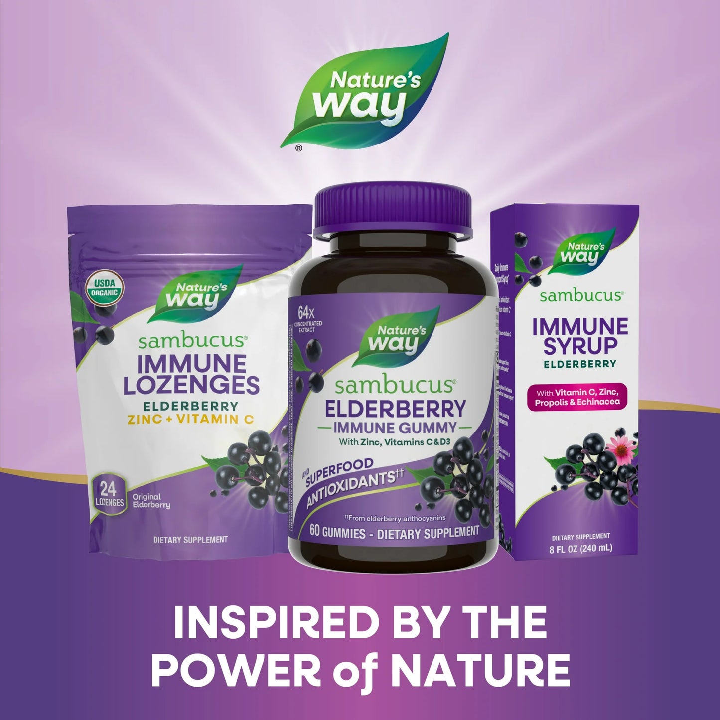 Sambucus Elderberry Immunity Gummies - Nature's Way