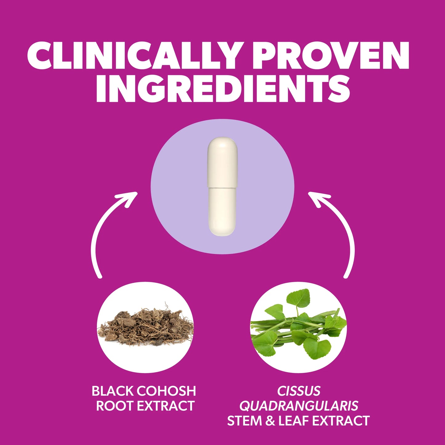 Daily Pre-Menopause Support - AZO