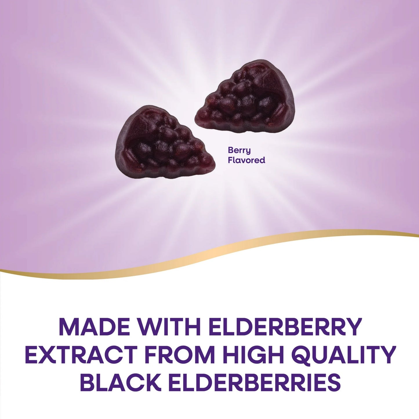 Sambucus Elderberry Immunity Gummies - Nature's Way