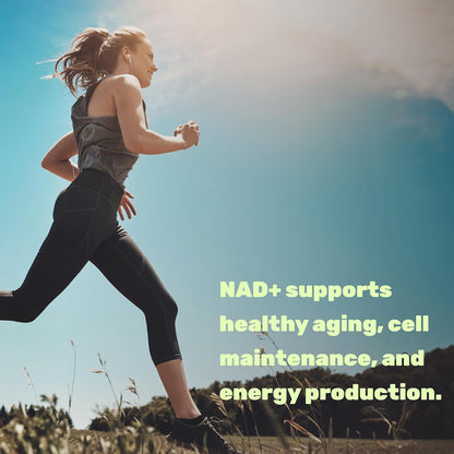 NAD 1000mg - Deal Suplemento