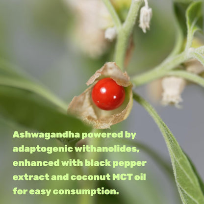 Ashwagandha con MCT Oil (Altamente Biodisponible) - Deal Supplement