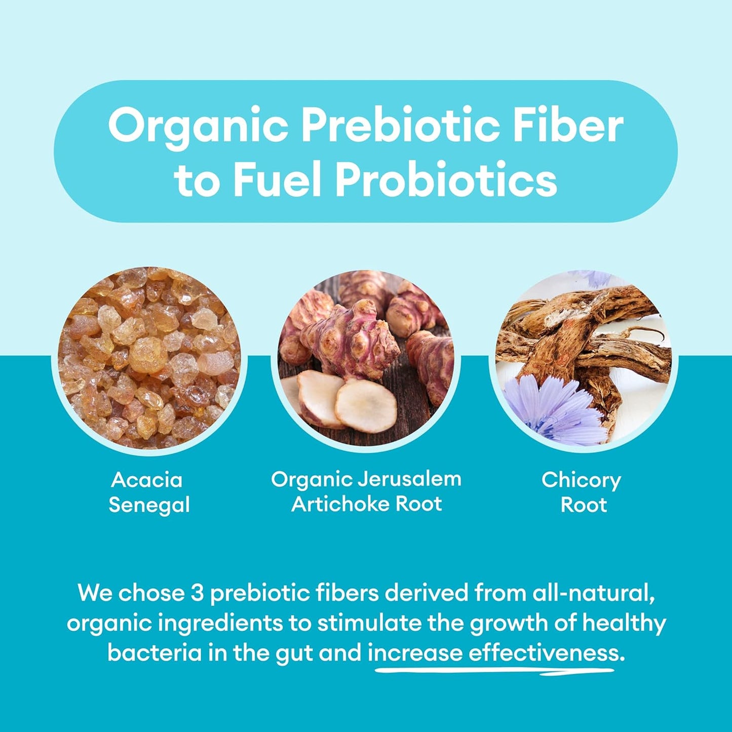 60 Billion Probiotic - Physician's Choice