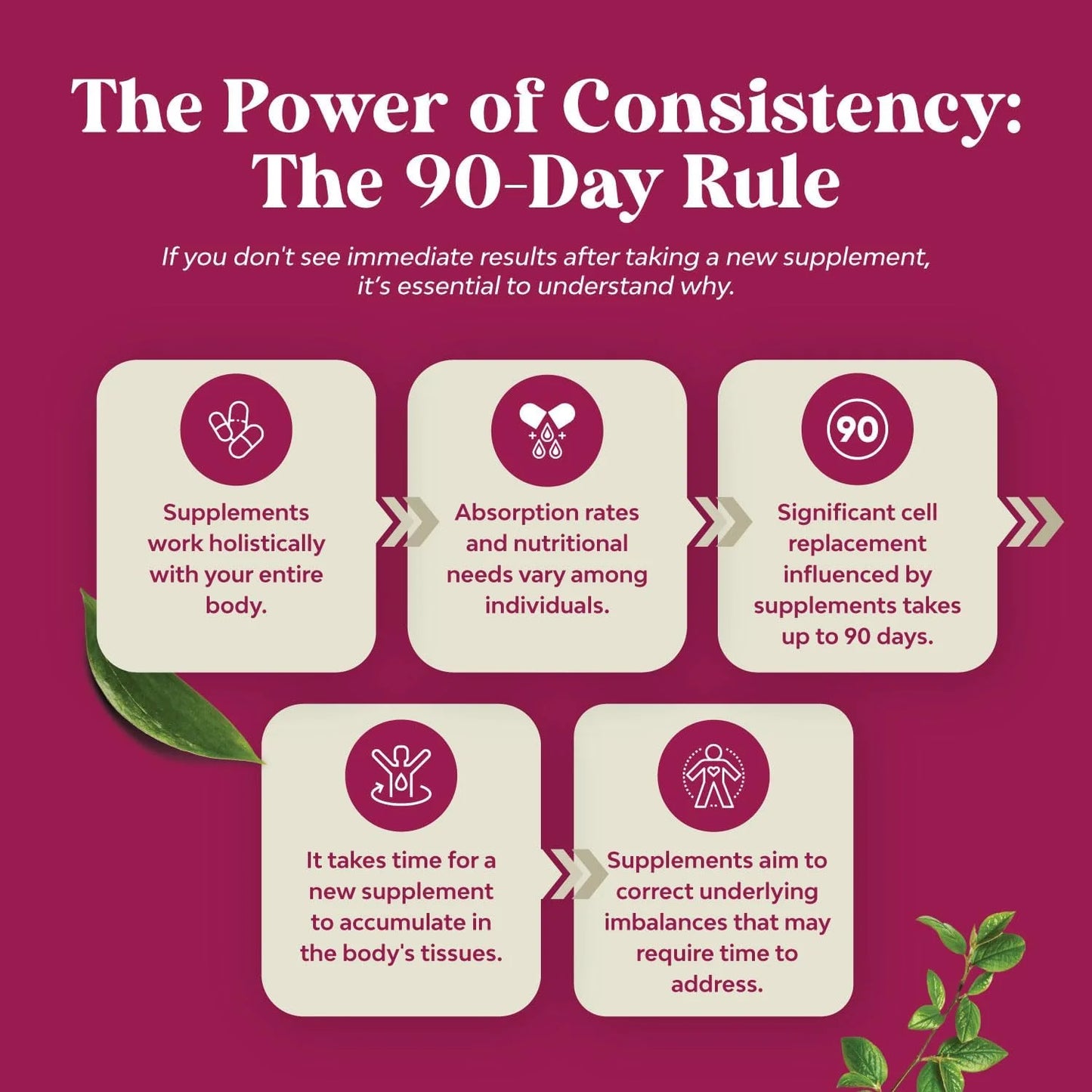 Menopause Support Sin Soya - Nature's Craft