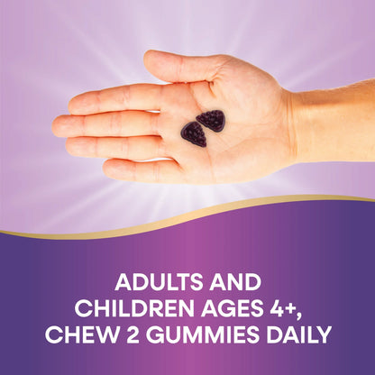 Sambucus Elderberry Immunity Gummies - Nature's Way