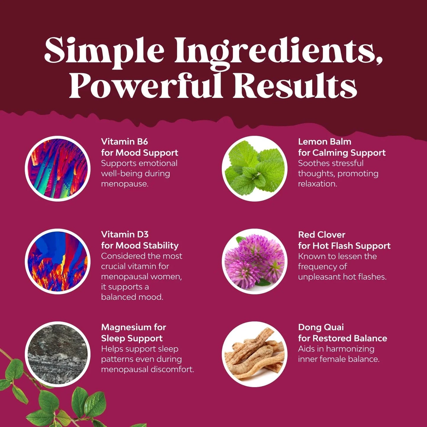 Menopause Support Sin Soya - Nature's Craft