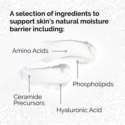 Natural Moisturizing Factors + HA - The Ordinary