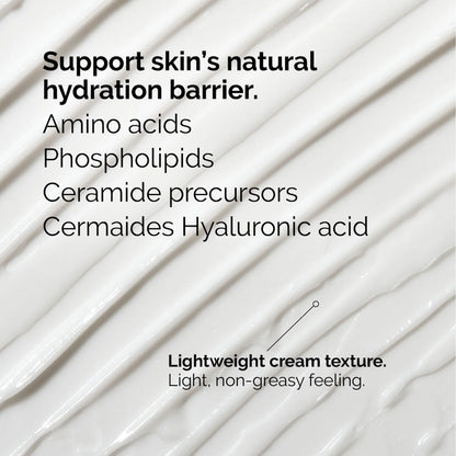 Natural Moisturizing Factors + HA - The Ordinary